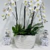 White orchid arrangement in a textured white planter with two small bird decorations