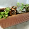 Rectangular terracotta planter with assorted succulents and small empty pots