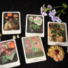 Flower-themed cards and small blossoms arranged on a dark surface