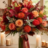 Velvety deep red and warm pumpkin-orange blooms mingle with blush pink and