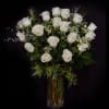 Ecuadorian white roses and accents in a tall vase.
STANDARD: 18 ROSES
DELUXE: 24