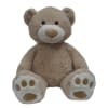 Plush teddy bear sitting upright on a white background