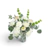 White roses and hydrangea in a clear glass vase with eucalyptus