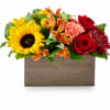 Mixed bouquet with sunflowers, red roses, and orange flowers in a wooden box