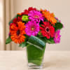 Colorful gerbera daisy bouquet in a clear glass vase