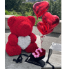 Red rose teddy bear with heart balloons and a small heart-shaped rose box