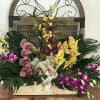 Large tropical orchid arrangement in a rectangular container