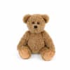 Brown teddy bear plush toy sitting on a white background