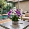 Potted purple and white orchids in a metal container on a patio table