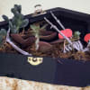 Succulents and skeleton make for a fun and live add on gift