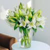 This elegant arrangement features  white lilies accompanied by fresh green fillers