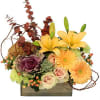 A beautiful show of colors changing from summer to fall, this arrangement