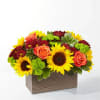 

Delight your friends and family with an assortment of bright Autumn colors