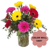 Bright gerbera daisy bouquet in a glass vase with mixed pink, red, and yellow blooms