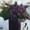 Purple lilac bouquet in a dark cylindrical box with green accents