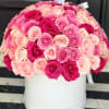 Round box arrangement of pink and blush roses