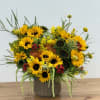 Sunflower arrangement in a ribbed vase with yellow and red accents