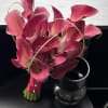 Bouquet of pink calla lilies with a black vase
