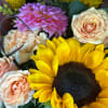 Close-up bouquet with a sunflower, peach roses, and a pink dahlia