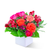 Pink and orange flower arrangement in a white cube vase