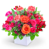 These lush Roses, Carnations, Alstroemerias, and Dianthus pack a ton of design