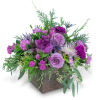 This jewel of an arrangement will make anyone&rsquo;s holiday bright! Frosted Amethyst