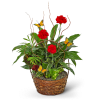 Basket arrangement with red carnations and butterfly accents