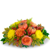 Bring the warmth and charm of autumn to your Thanksgiving table with