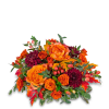 Orange roses and dark burgundy mums in a low autumn bouquet