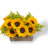 Sunflower arrangement in a rectangular rustic container