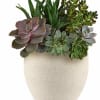 Concrete inspired bowl vase filled with succulents