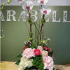 FERSH DUBBLE ORCHID DESIGNED IN THE WOODEN BOX WITH SMALL PLANT AND