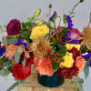 Autumn flowers 