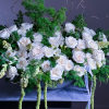 White roses arranged with green foliage in a low container