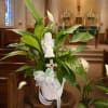 White peace lily plant in a basket with a ribbon and angel figurine