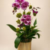 Spotted purple phalaenopsis in a gold ribbed planter with moss, green leaves
