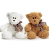 Two teddy bears with plaid bows, one white and one brown