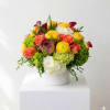 Colorful bouquet in a white round box with yellow, coral, white, and magenta blooms