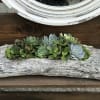 Succulent arrangement in a weathered log planter