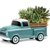 Toy pickup truck holding a succulent planter