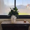 Potted green plant in a woven basket with a white ribbon bow