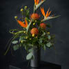 Bold orange bird of paradise blooms soar above bold orange pincushion protea