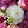 Pink chrysanthemums and white roses in a close-up bouquet