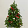Bring home the magic of the holidays with our enchanting Boxwood Tree