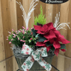 Poinsettia and pink bud plant arrangement in a basket with a holiday ribbon