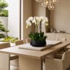 White orchids arranged in a black bowl on a dining table