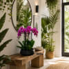 Pink orchids in a black planter on a wooden bench in a bright room