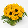 Yellow sunflowers arranged in a clear glass vase