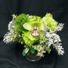Green orchid arrangement in a clear glass vase with white foliage accents