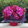 Pink roses and orchids arranged in a round box